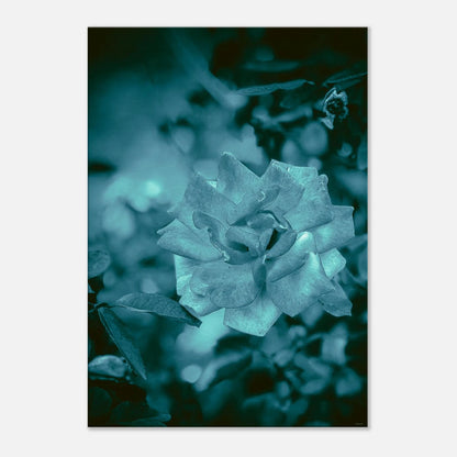 de5adb5a-7e3c-4b33-a6d8-c59ef22b760f