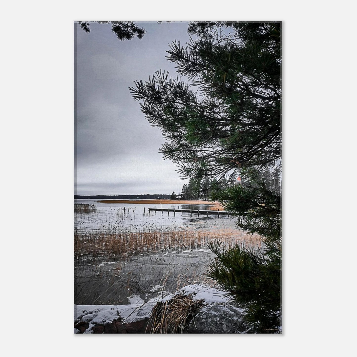 de5c51b4-3275-46ae-836d-08cbb4eed441