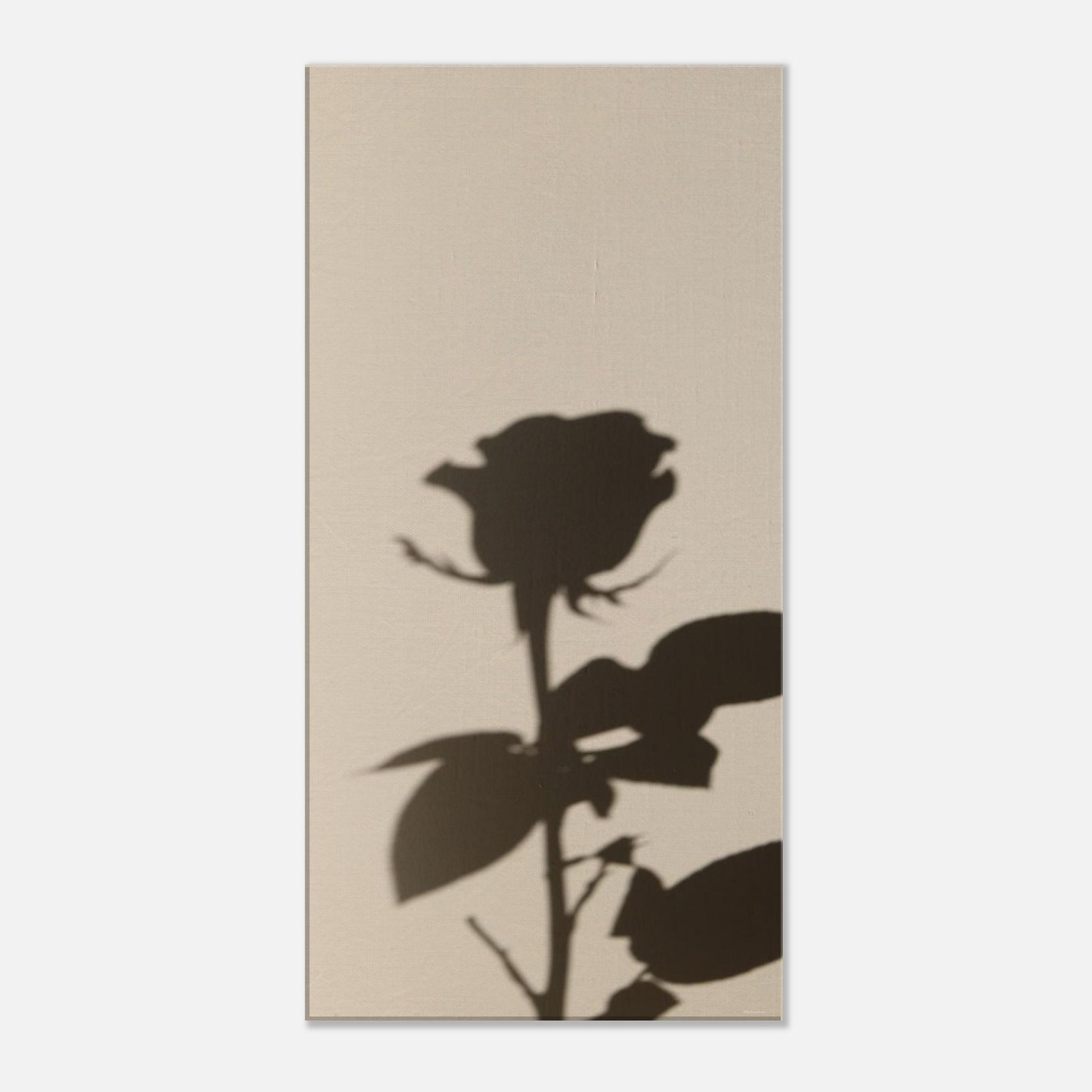 de66e25f-99a8-4f39-95b2-3e343b3e28ca