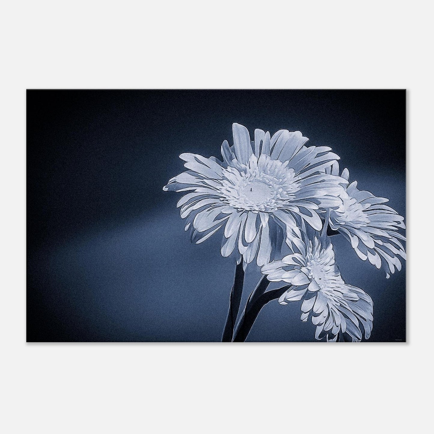 de7eb0d7-fee5-41e3-aa71-a47611f99aa9