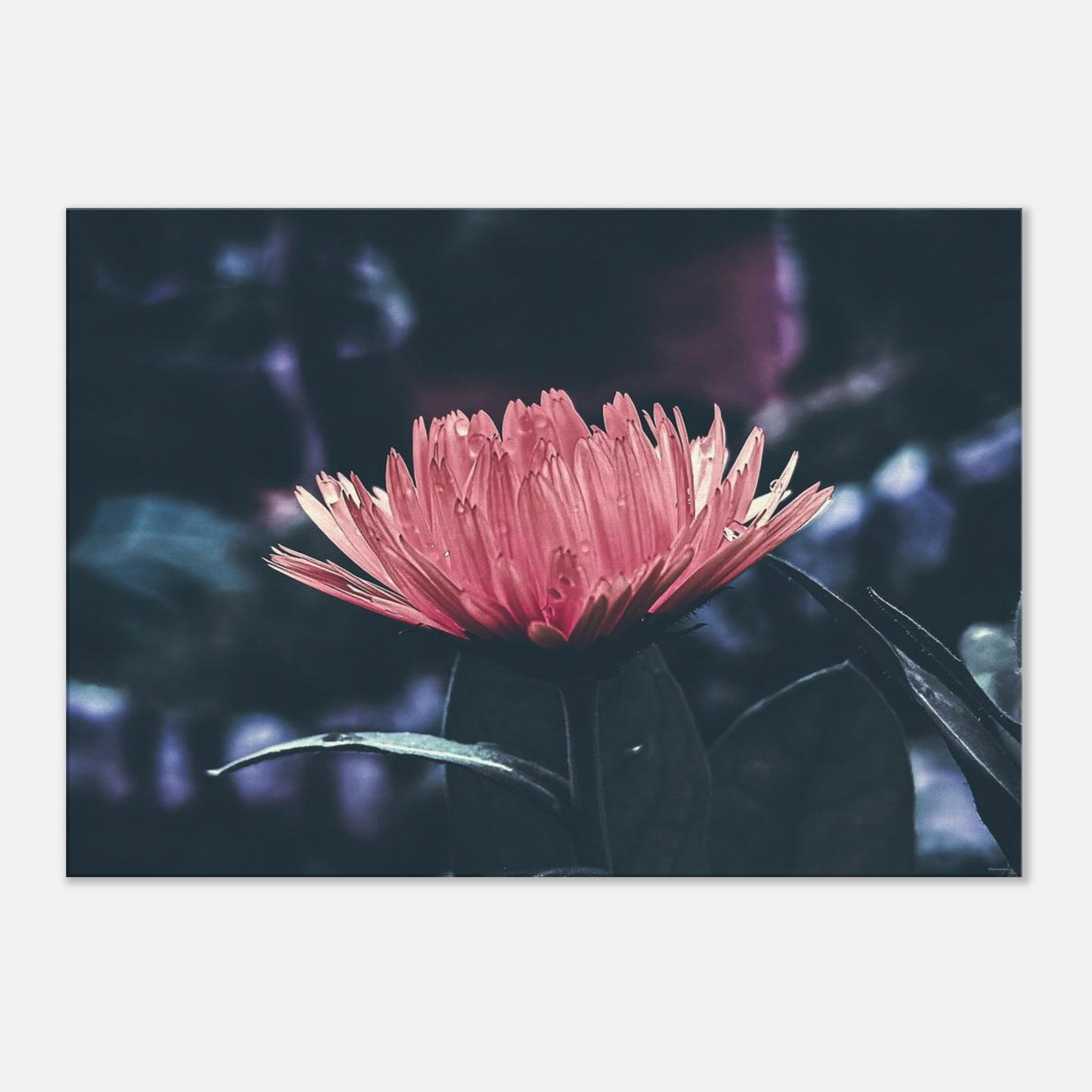 de859fa3-991a-44aa-9817-ddf7ae5793e4