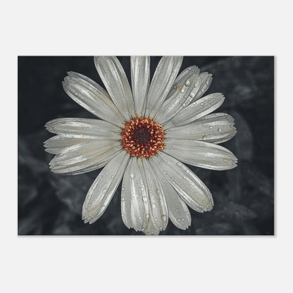 de8d5f71-2375-4ccc-87fc-bf7a9791624d