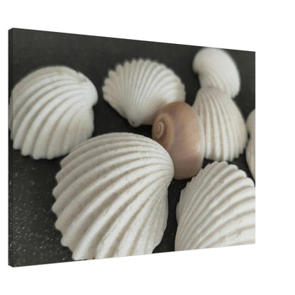 de990b9f-6ac9-4e9f-9a91-19173bbc5843