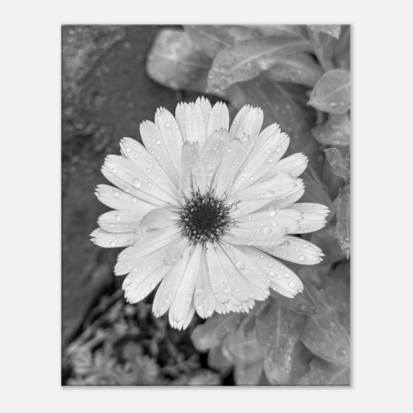 deb52fb4-bca5-4881-9640-3f78eae222b0