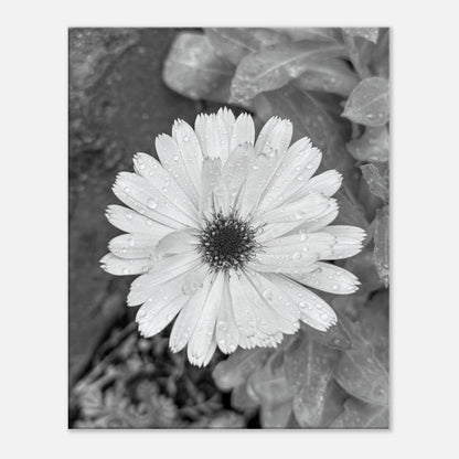deb52fb4-bca5-4881-9640-3f78eae222b0