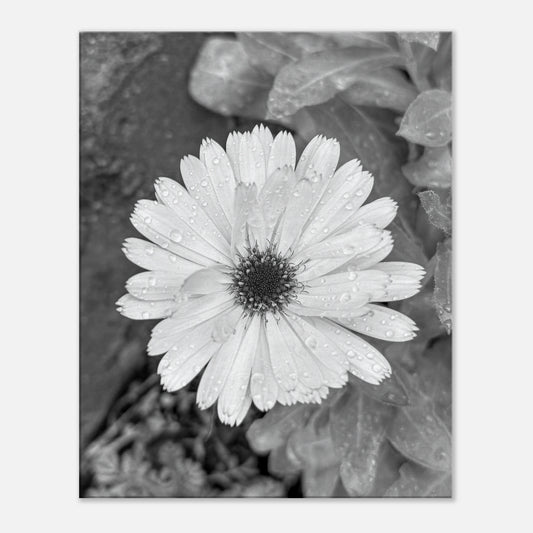 deb52fb4-bca5-4881-9640-3f78eae222b0