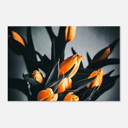 deb7661e-fe68-411b-b967-46a1c5d3485e