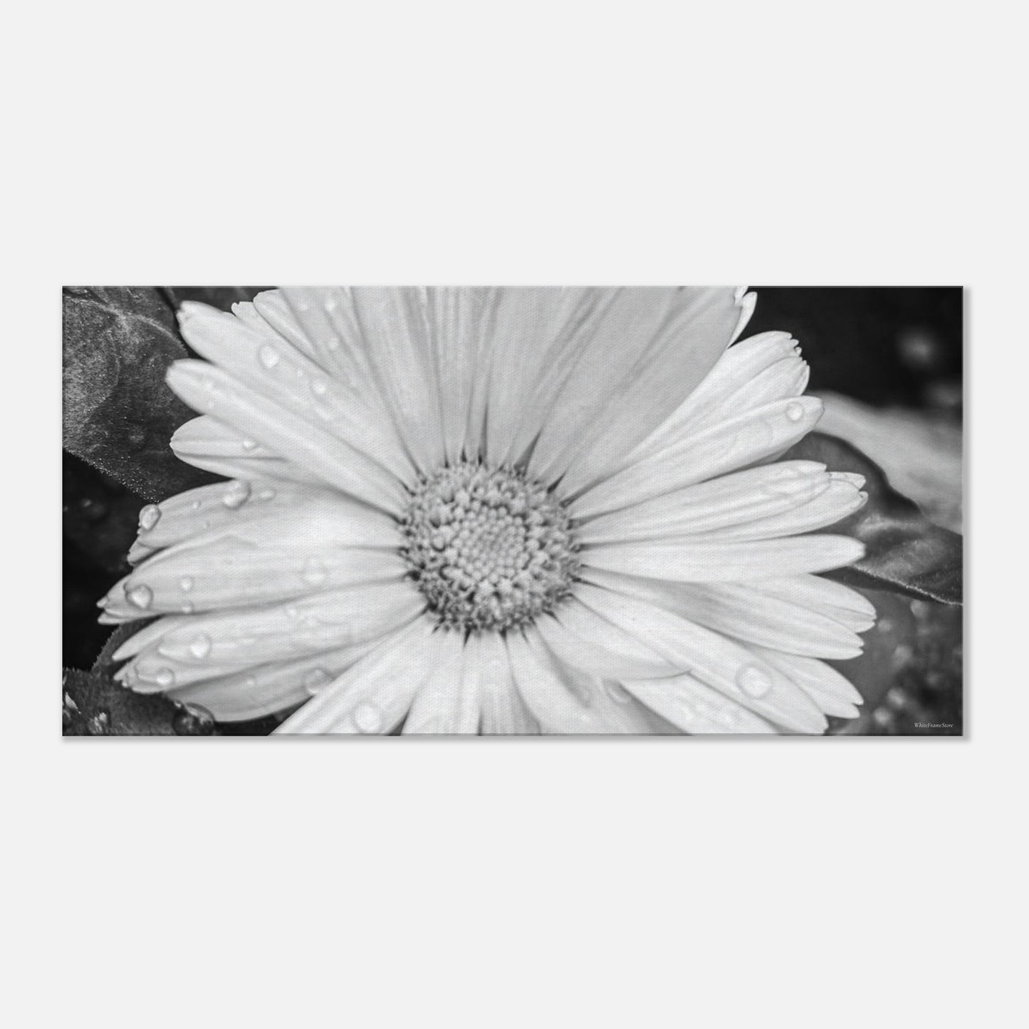 deb86719-c634-45b1-b391-da98e168d502