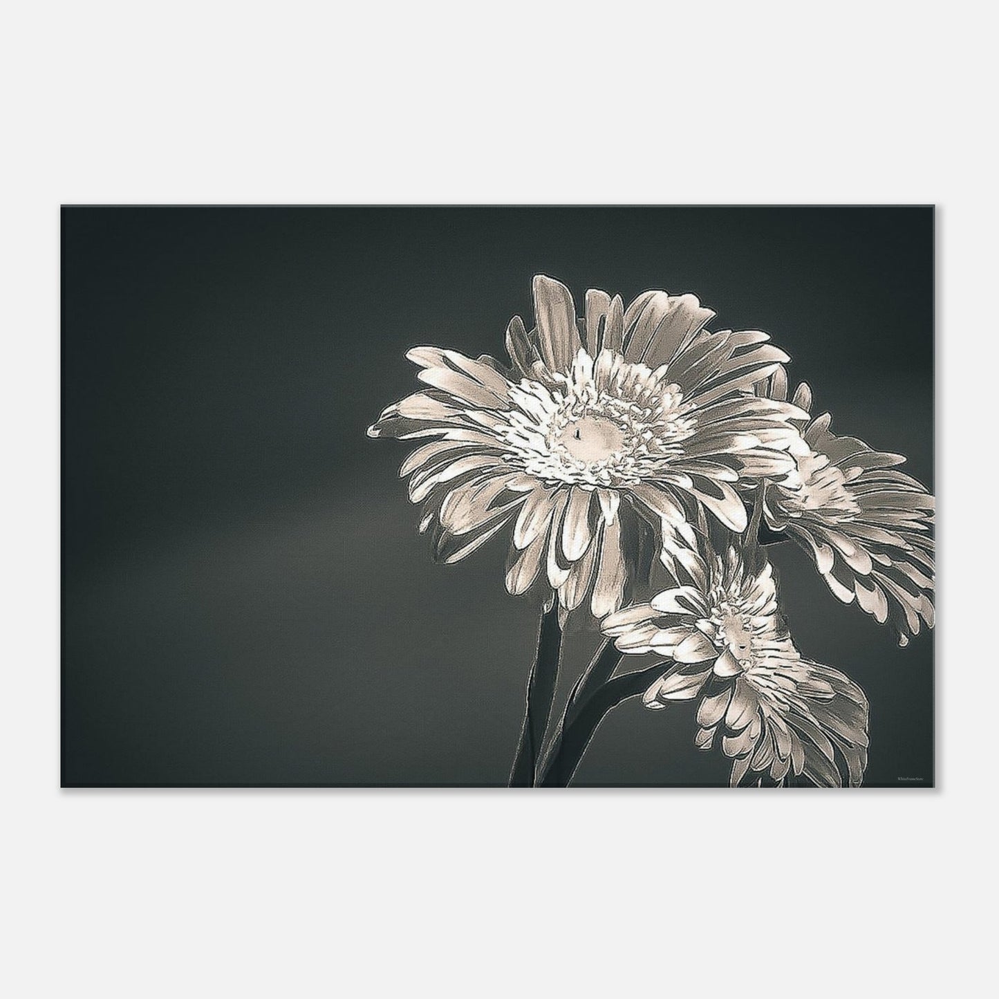 ded28eed-599f-45bb-83a6-6a4271ee5608