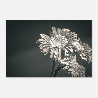 ded28eed-599f-45bb-83a6-6a4271ee5608