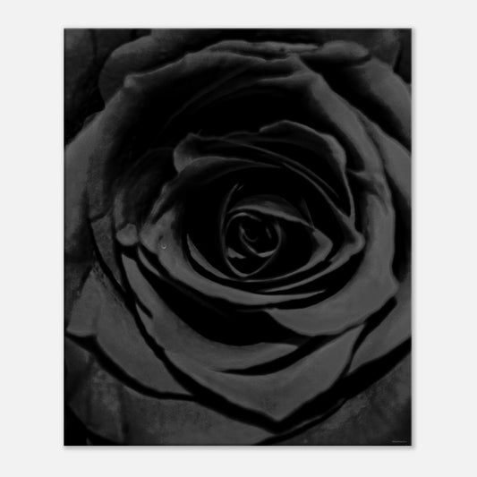 dedfee75-efc2-4626-9625-743c1e832d89