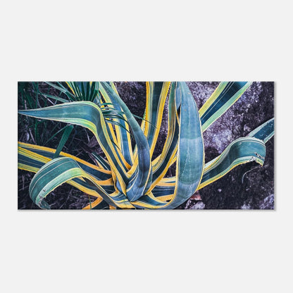 dee4c55f-a58f-408c-936d-e5c9471c4854