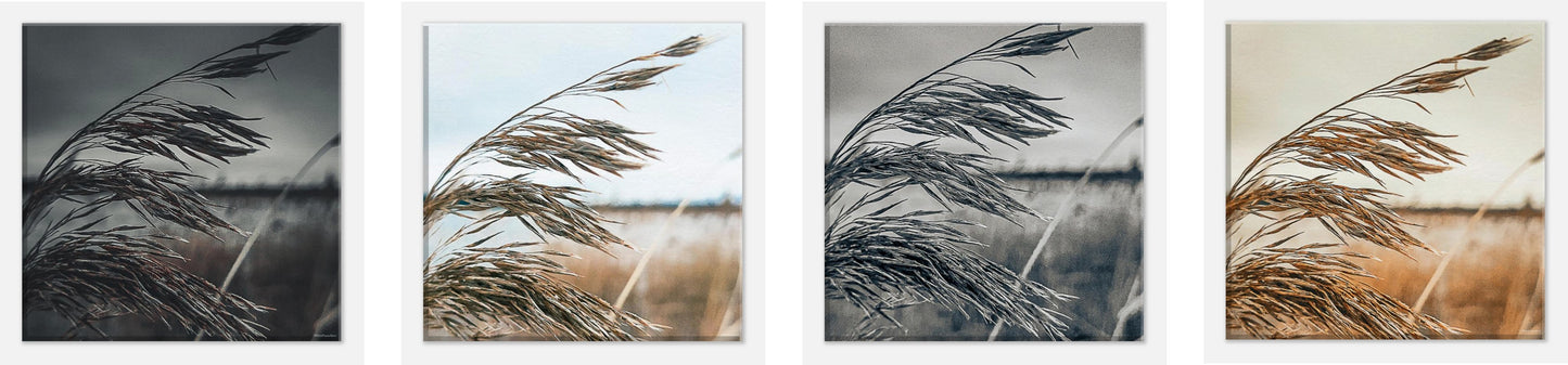 deff9744-f765-4eb1-a4fe-1b869ae5dbd2