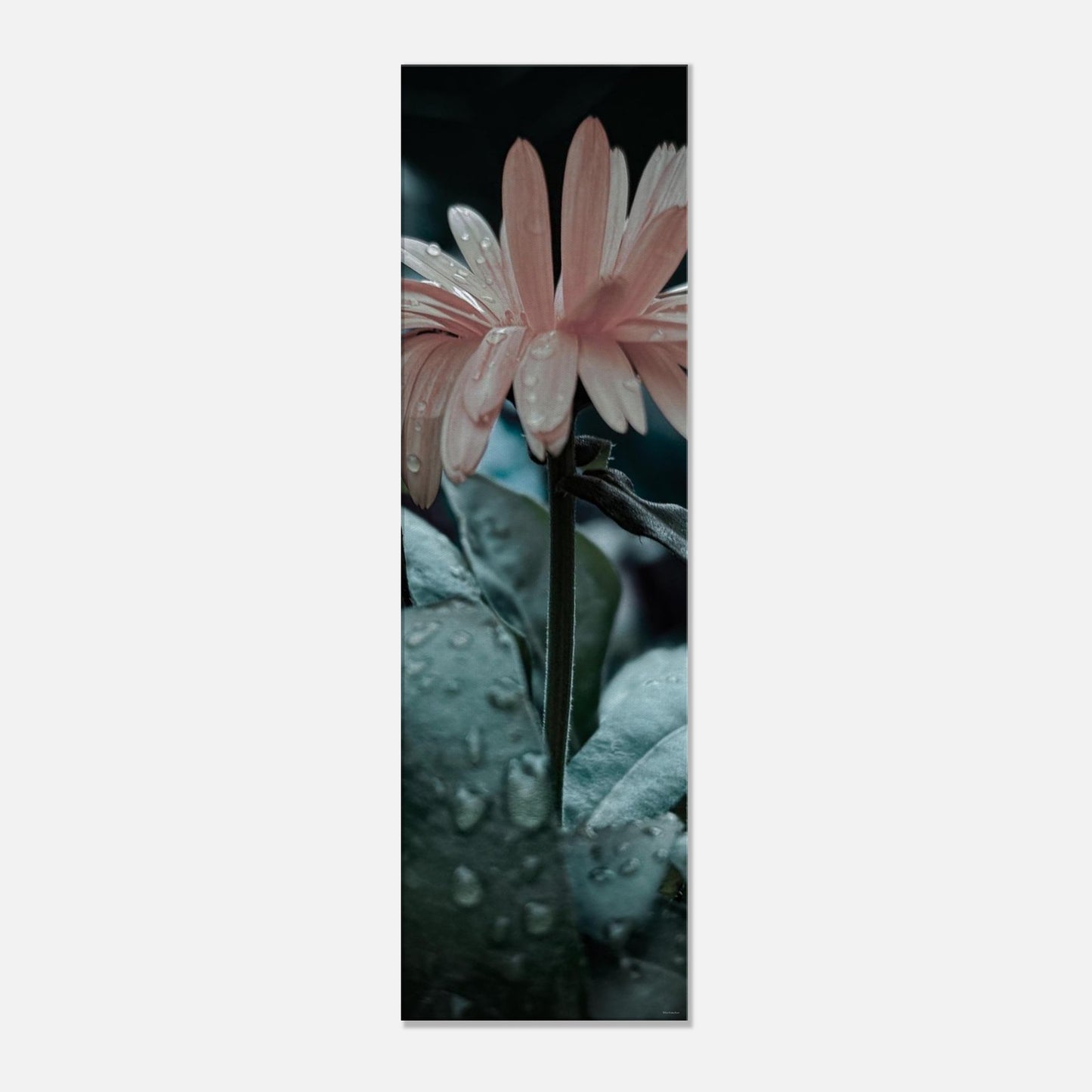 df181e46-8e3a-4e72-a06f-91e3de56de93