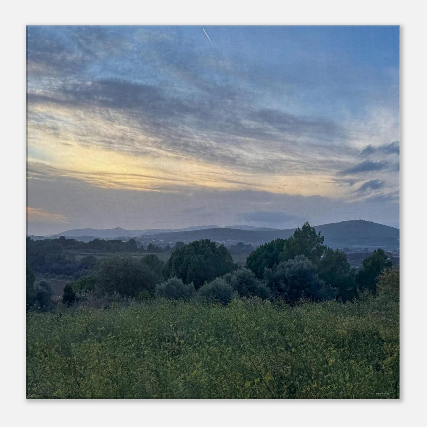 df37b0ae-104f-4ec7-946f-85ea21e460d4