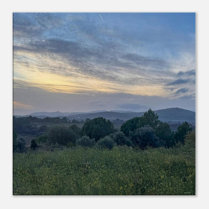 df37b0ae-104f-4ec7-946f-85ea21e460d4