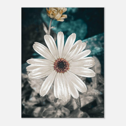 df5d07a1-cb8a-4a48-9582-482caaa919da