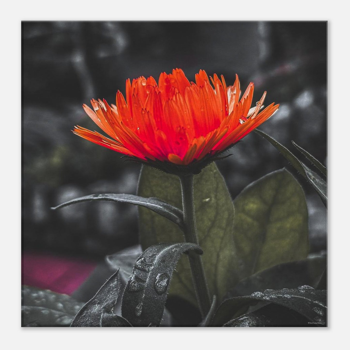 df5f69bf-500b-46fc-b643-5b1618ad565c