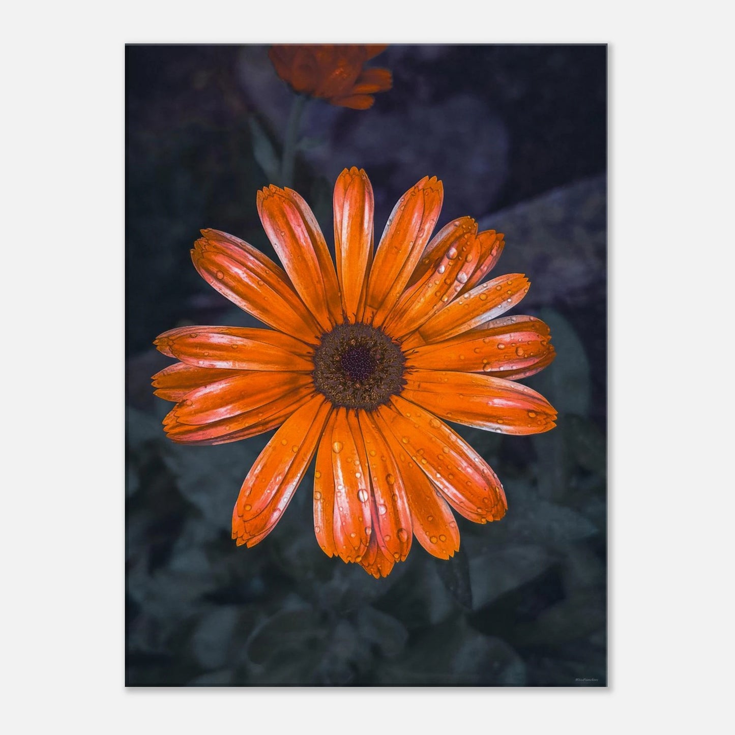 df654604-dffe-4102-8145-fcd29998f992