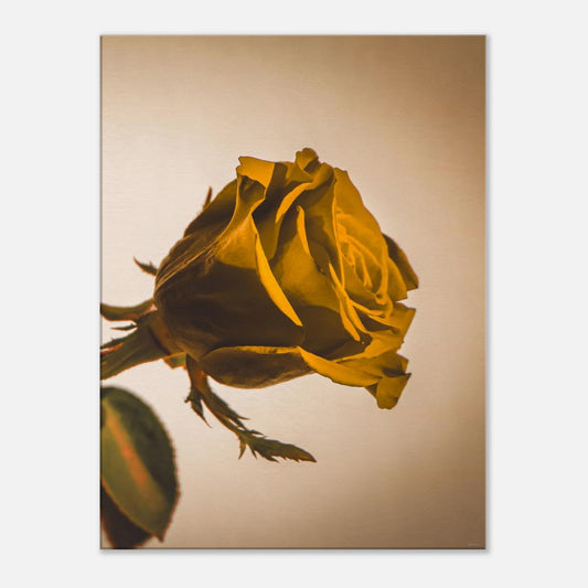 df65684e-102c-4d4c-afc6-8c182e46dad0