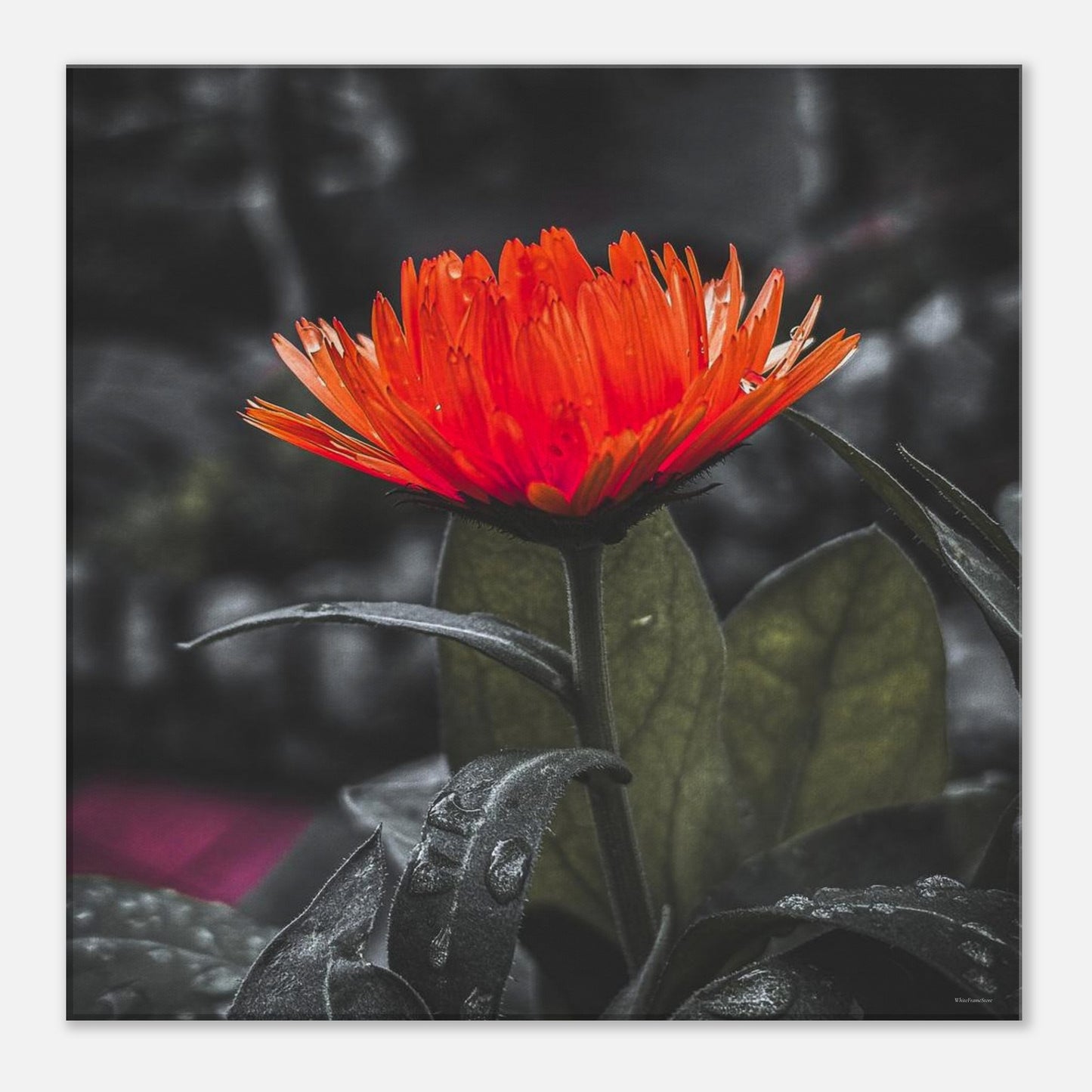 df89713d-a826-4776-b955-6156e784fb2f