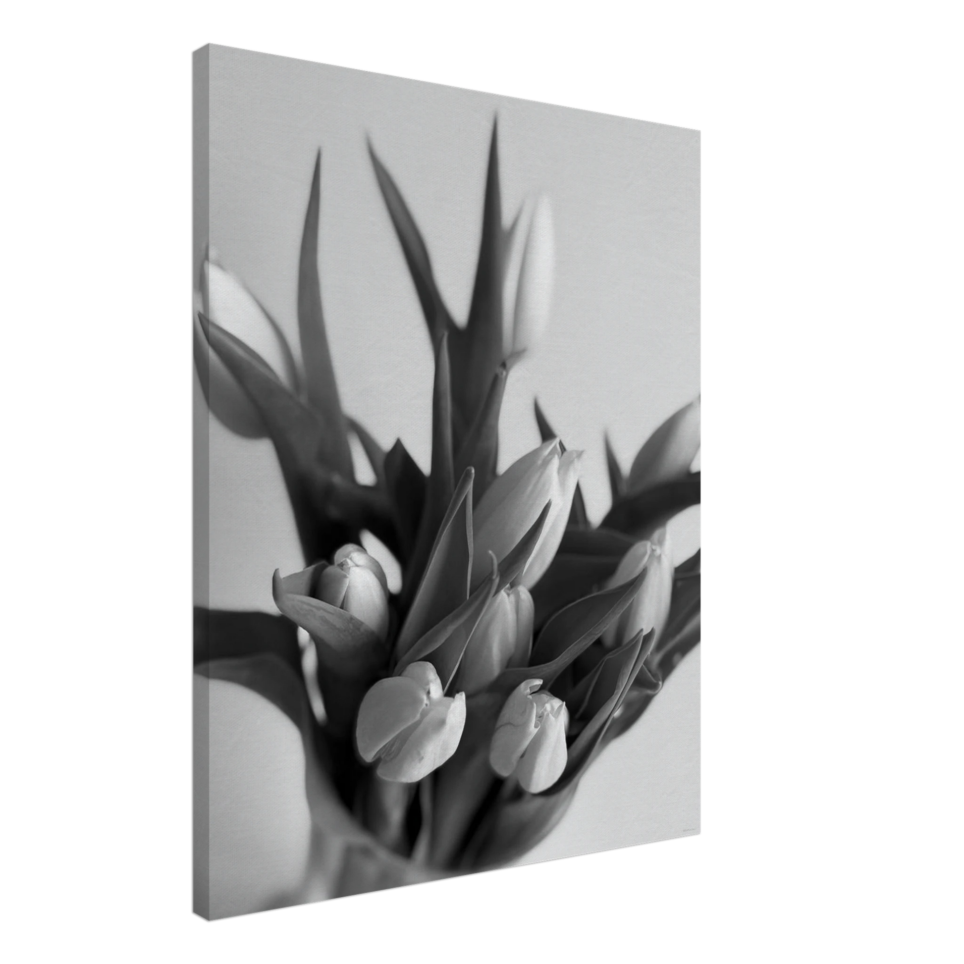 dfe9213a-3406-4da4-913a-a20a58793a0a