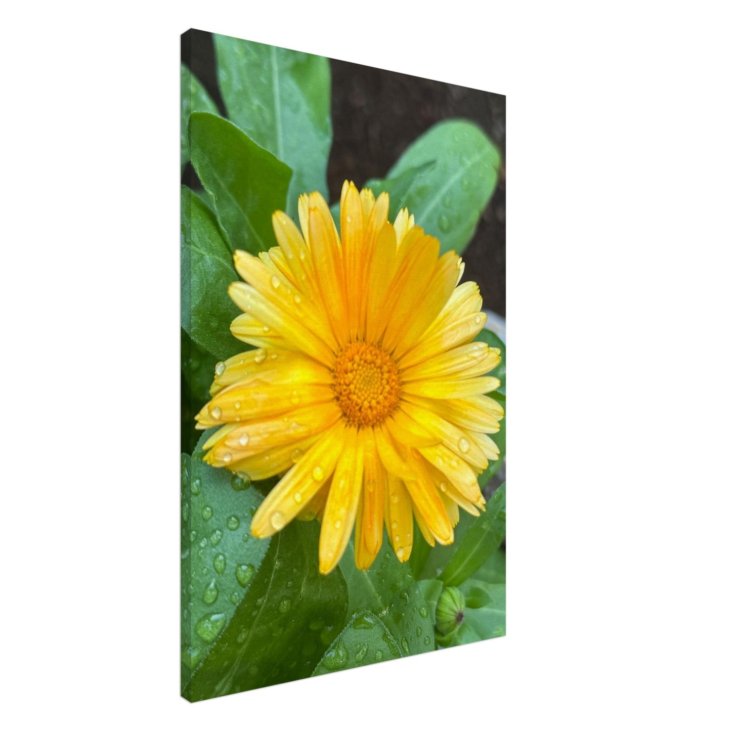 e01be7d0-187c-432c-ae6c-37318abe2858