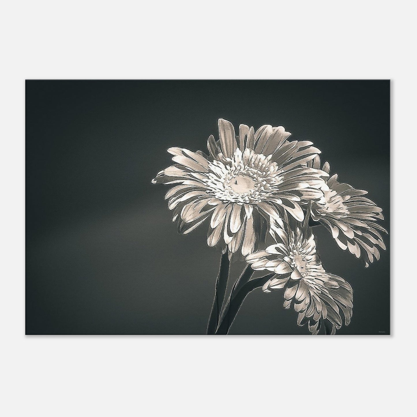 e02a6984-ea7b-4599-847f-d0090b5615d3