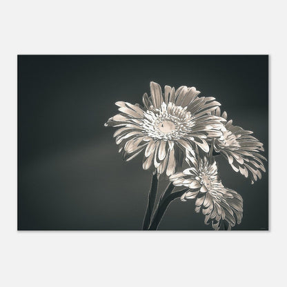 e02a6984-ea7b-4599-847f-d0090b5615d3