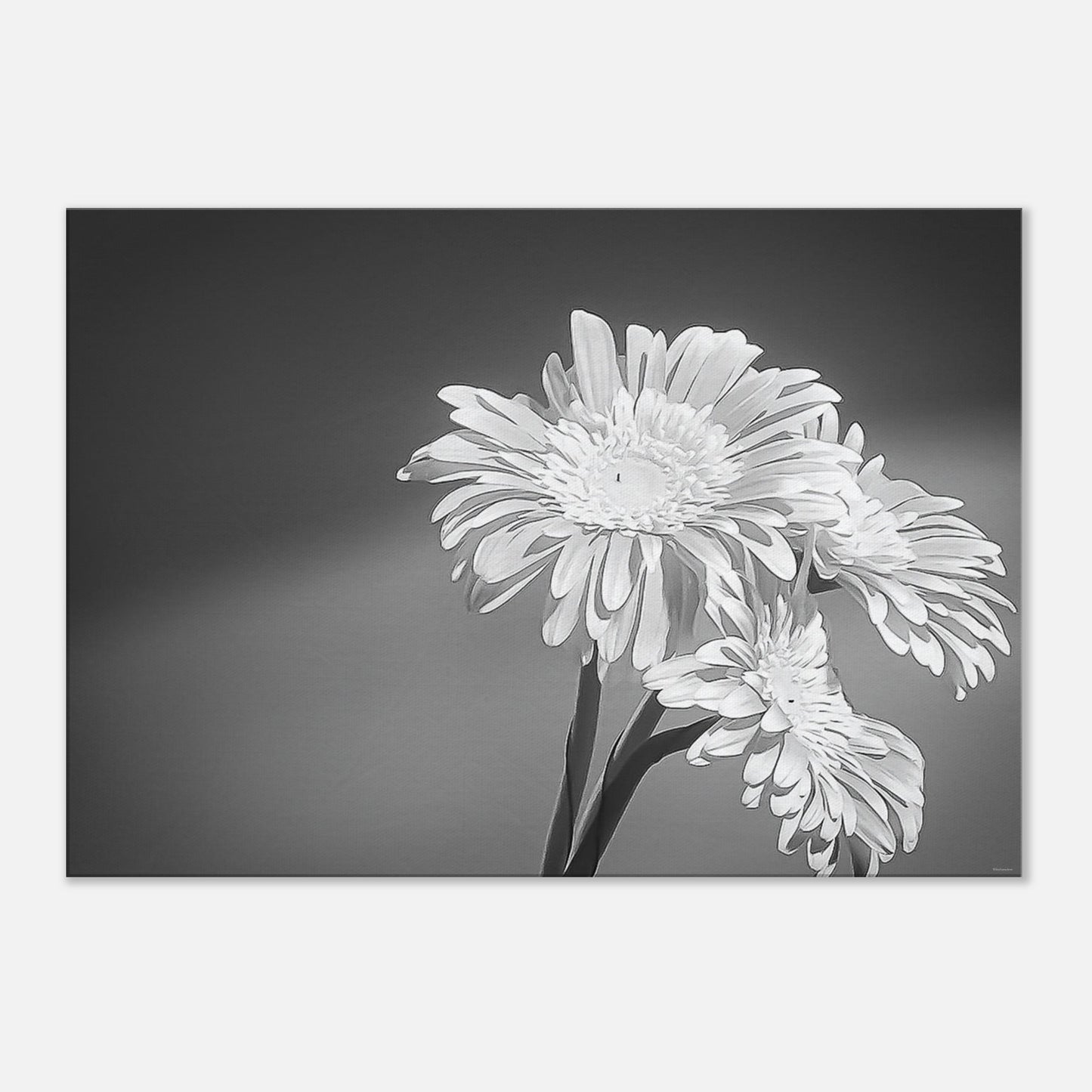 e05da768-bab3-4d84-a3aa-9d89cd76eb4d