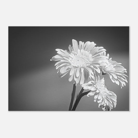 e05da768-bab3-4d84-a3aa-9d89cd76eb4d