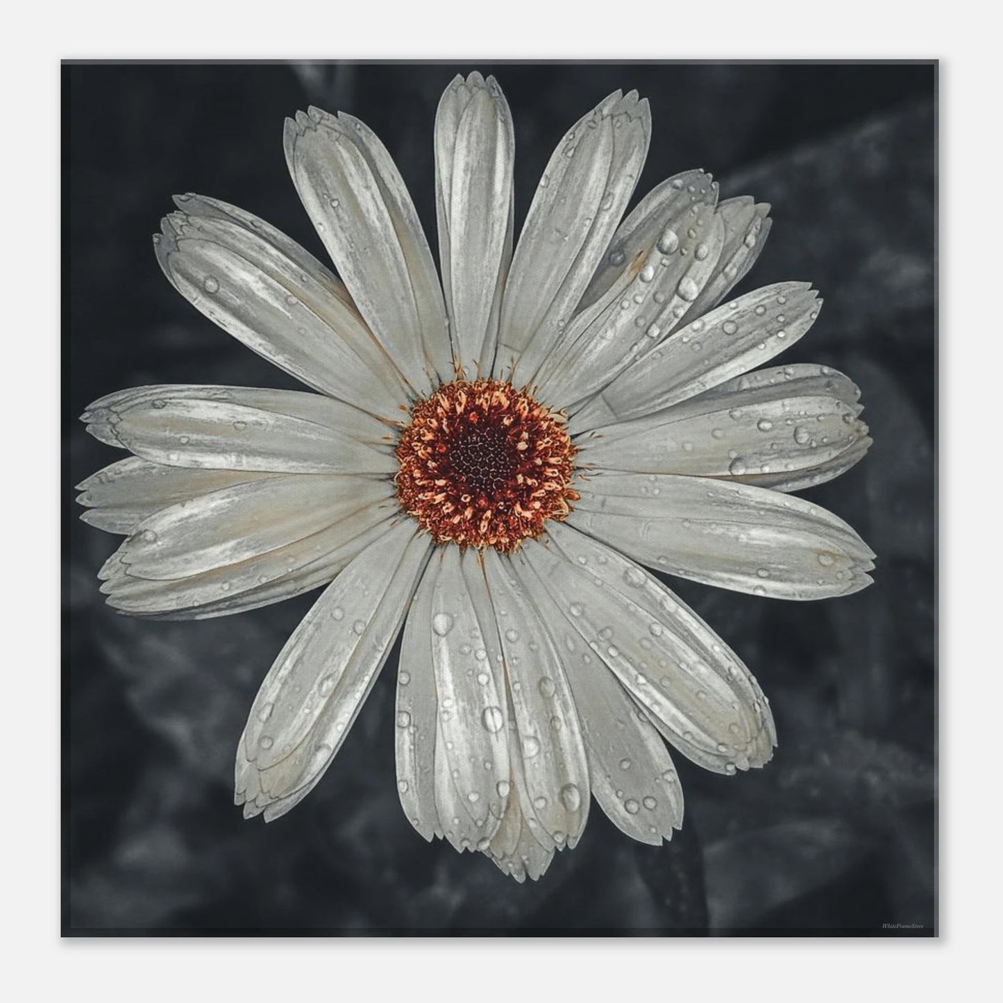 e074c389-34a8-46c3-b18d-dcbaf20a7995