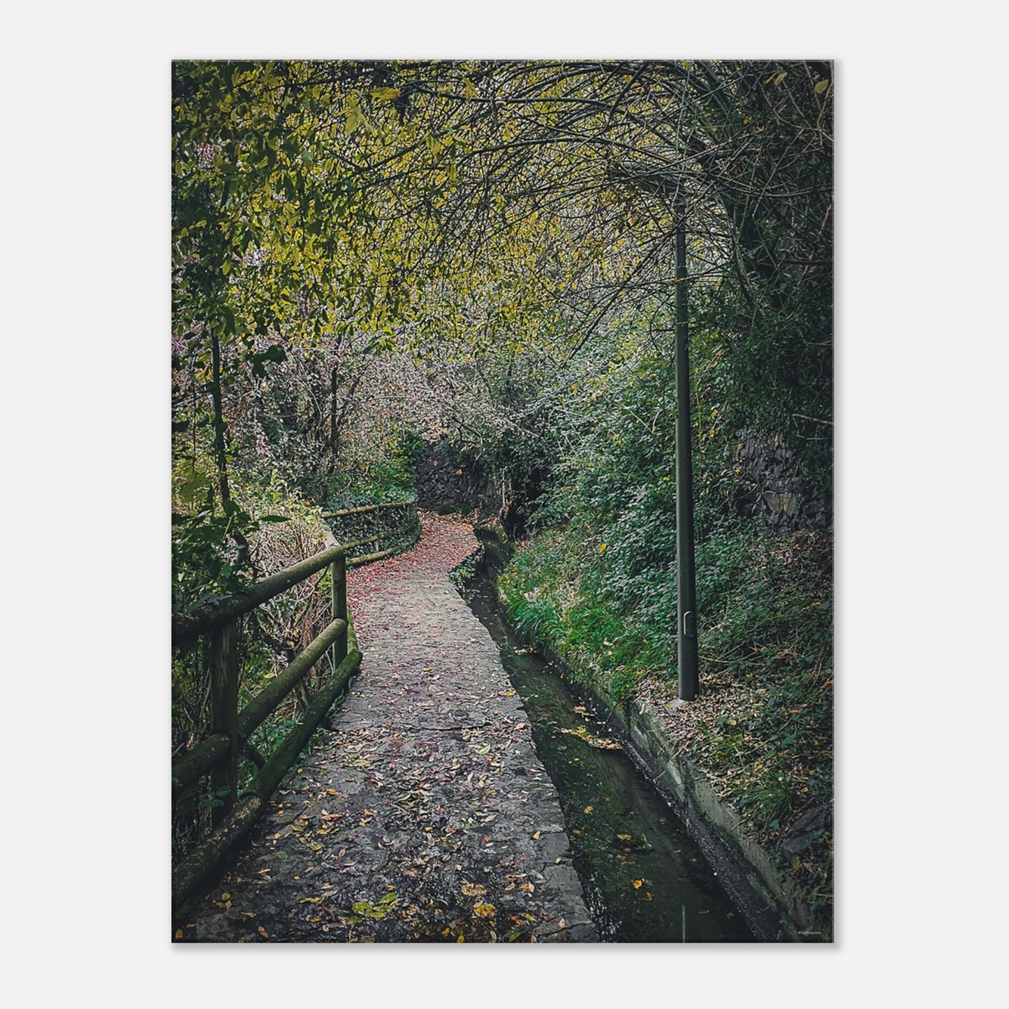 e09945f8-df3a-43ae-ac53-e76698ee51b4