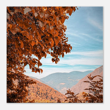 e0a30717-2442-47e5-81ae-d980f81e0254