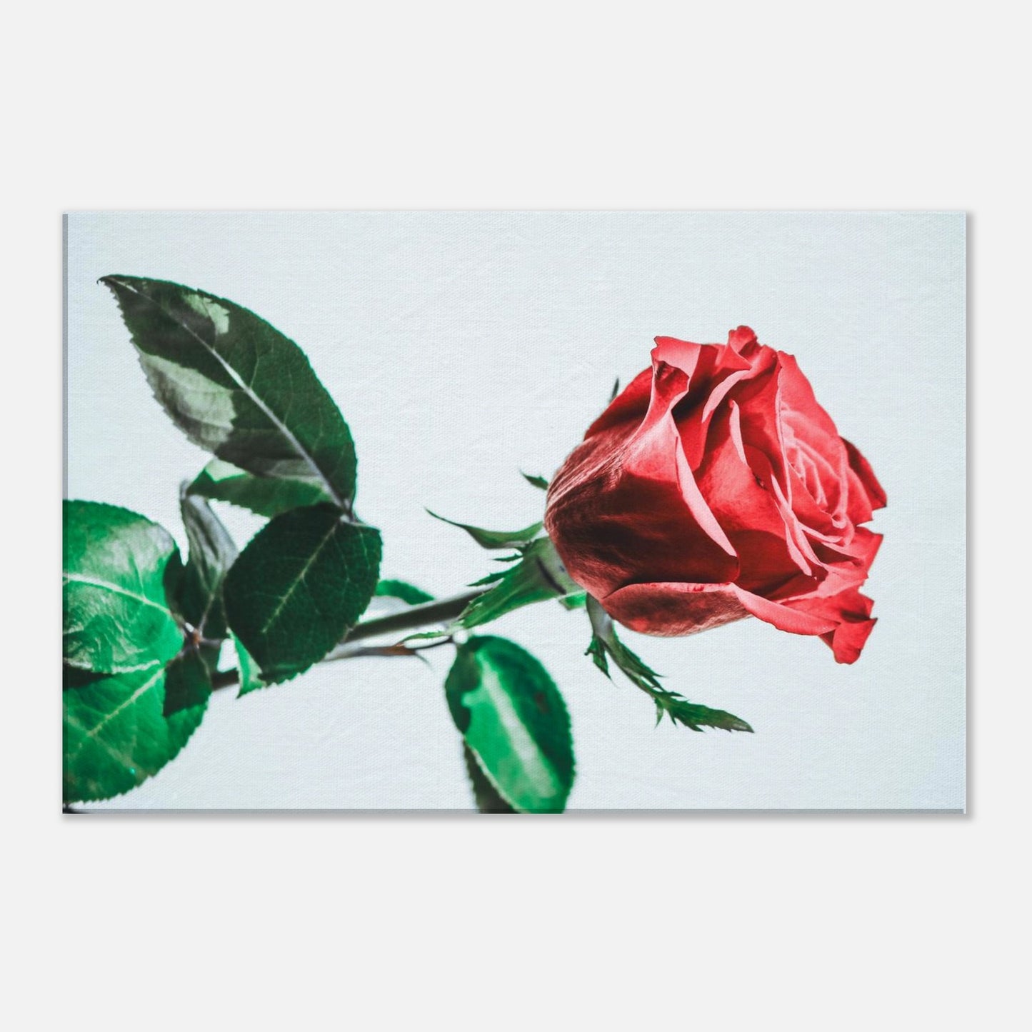 e0b2e137-215c-46b2-b79f-3bbe7566611f