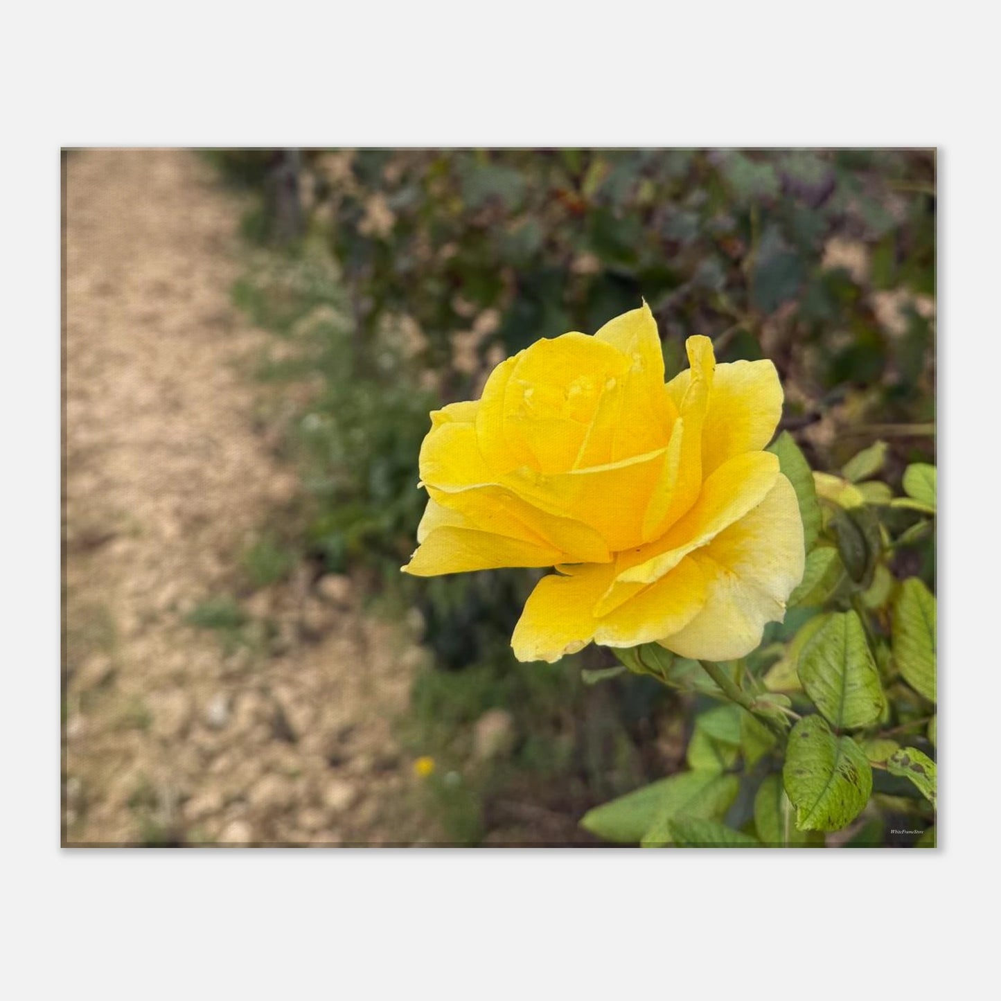 e0b687ca-301e-4f13-ab2c-29d1835eb968