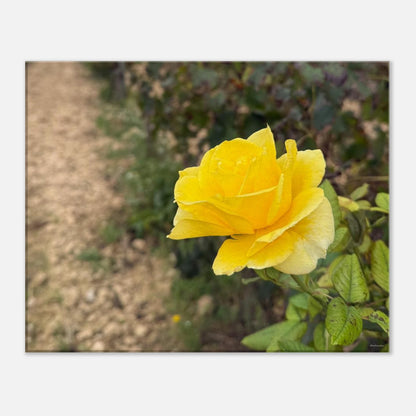 e0b687ca-301e-4f13-ab2c-29d1835eb968