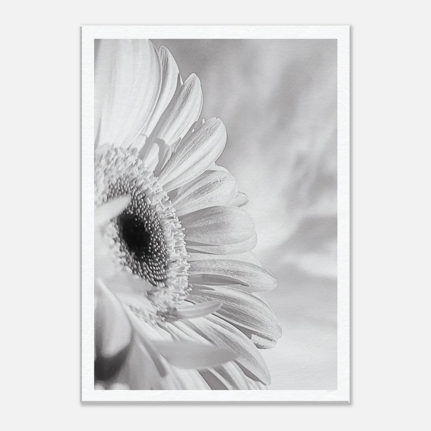 e0bac717-1fb9-4faf-b011-1ea287db032e