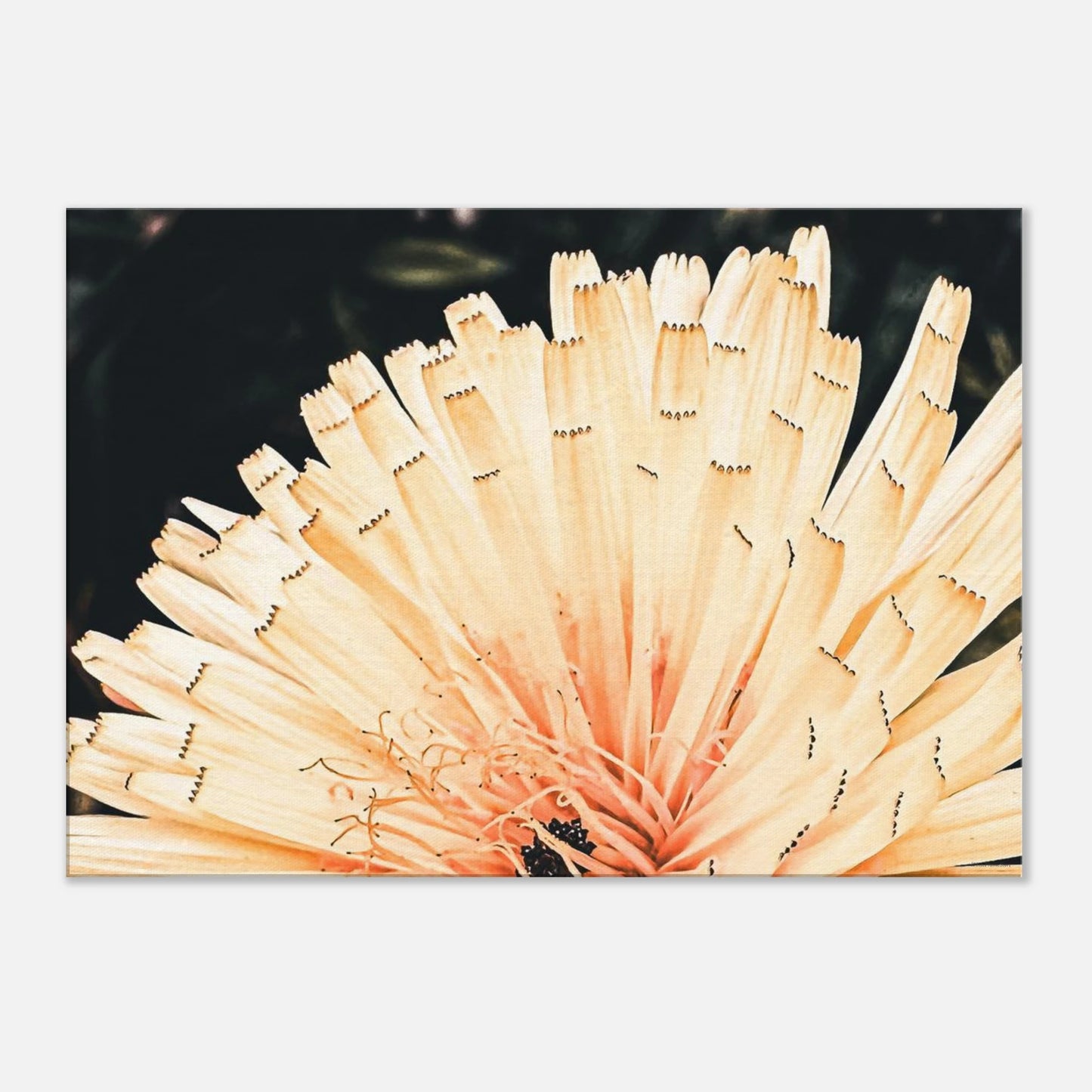 e0d0bf0f-ff80-4884-b287-62aff4f29ca6