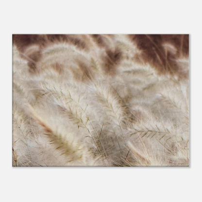 e0d2d19e-ee47-473b-90ad-200db6423415