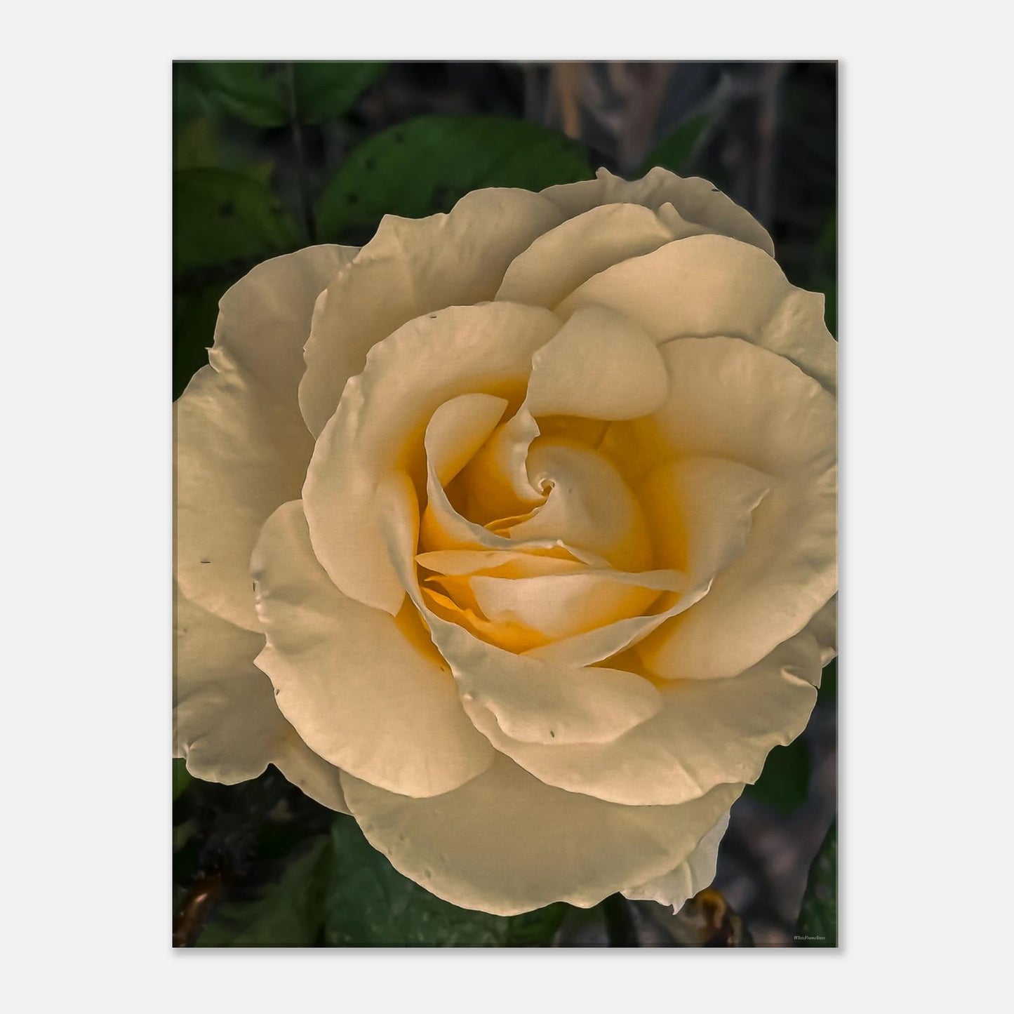 e0e709b7-4525-4754-a4b9-ad845cb9d6b5