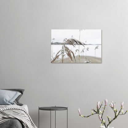 e11a00ae-3a4a-4bfb-8ad3-a1cef89e01d6