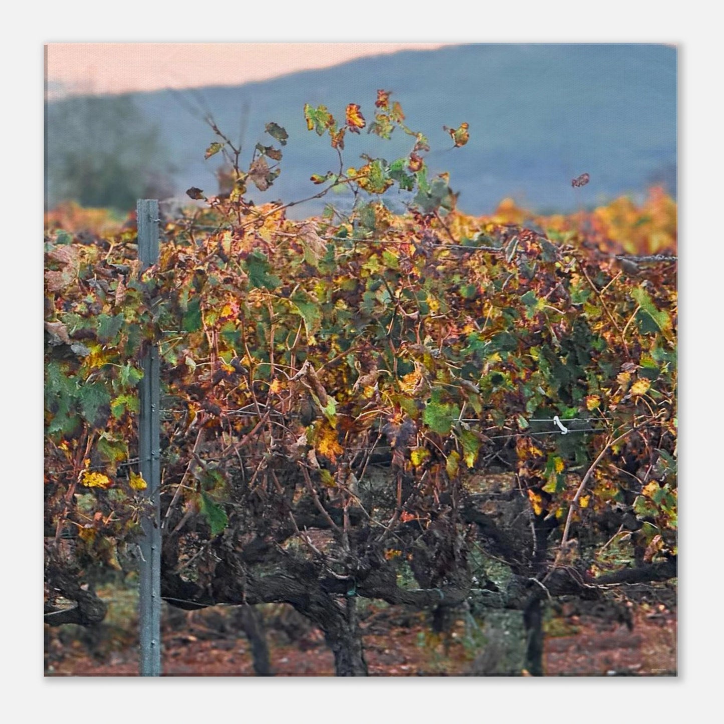 e122d92a-8244-4a4c-916d-e2c643afe3e0