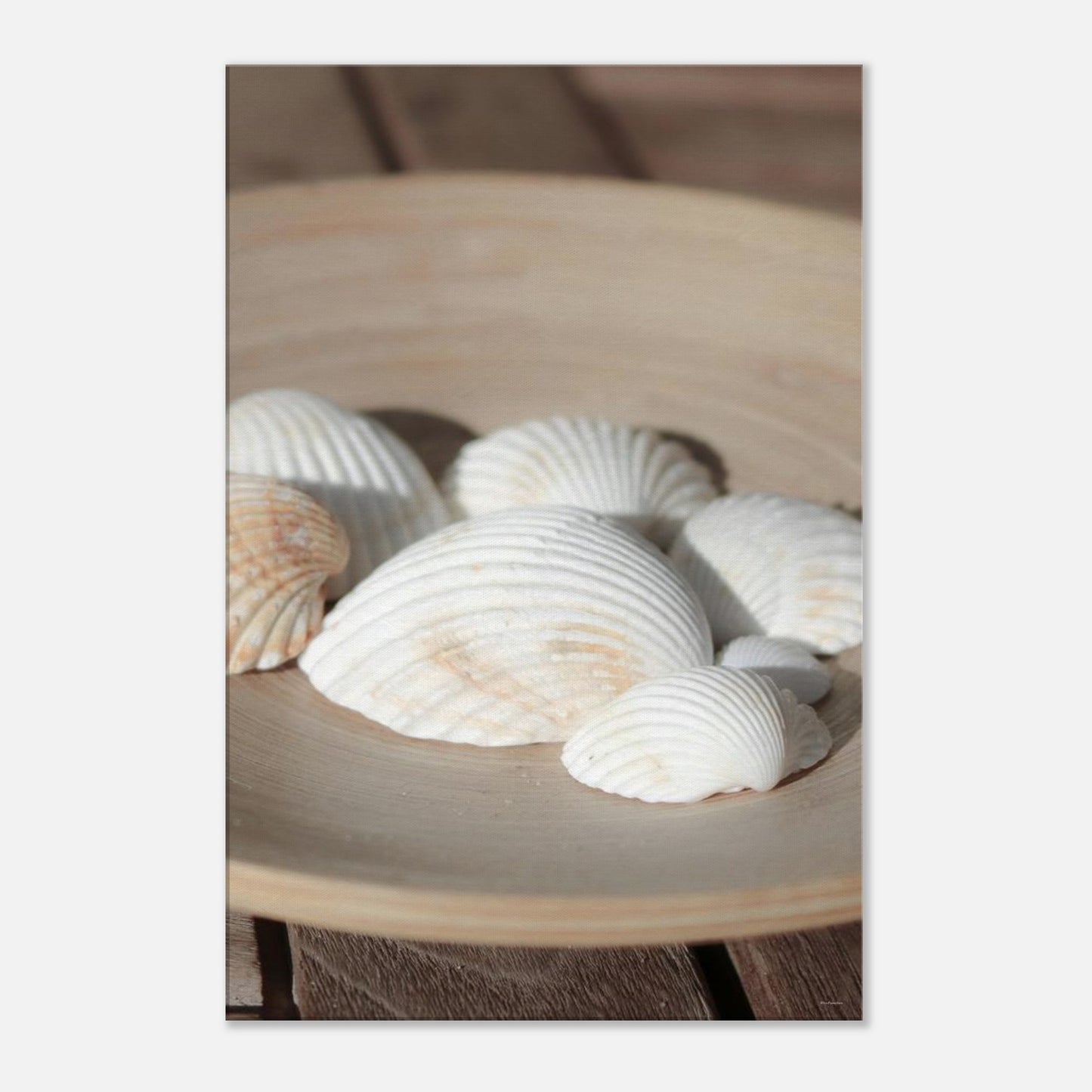 e146767f-acda-4d33-9e18-0945a5d9ea41