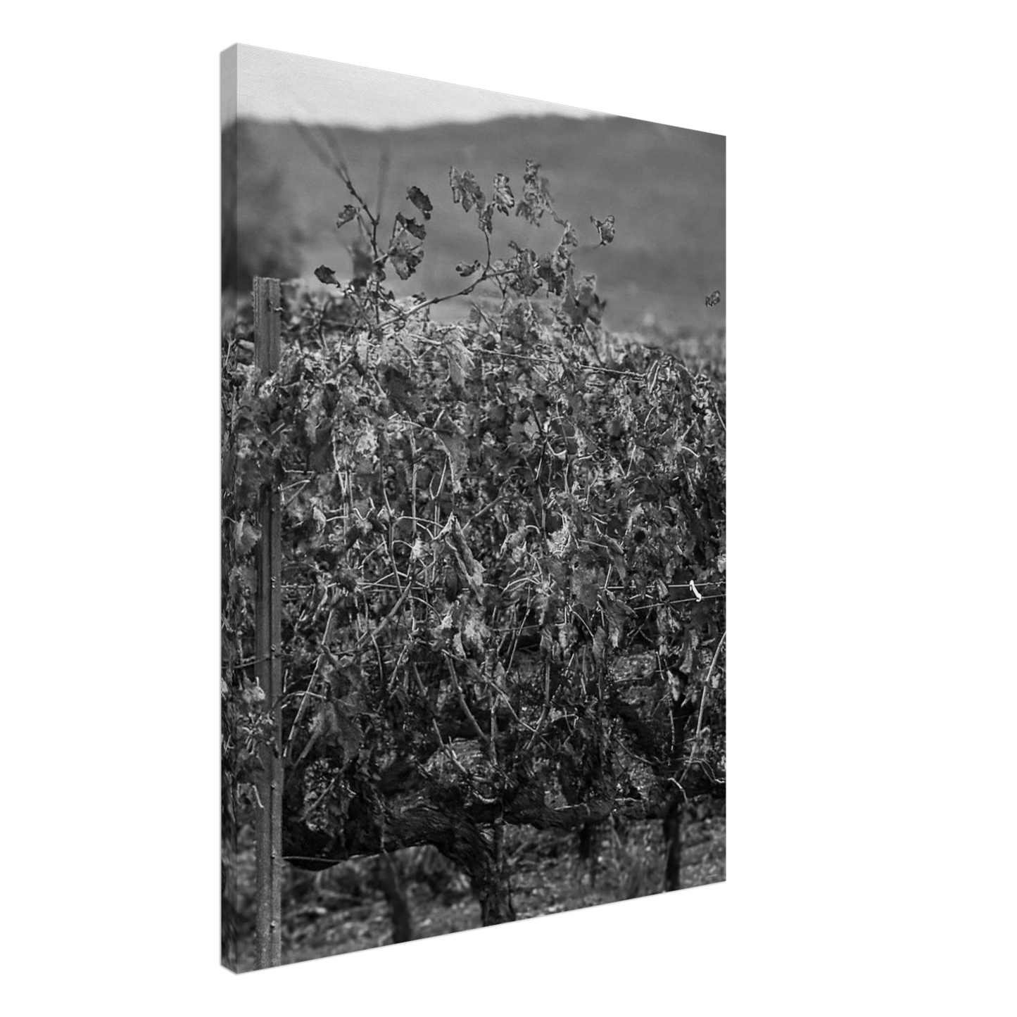 e151dcc4-c89f-47e3-9ffe-9f1c1a7c0fa3