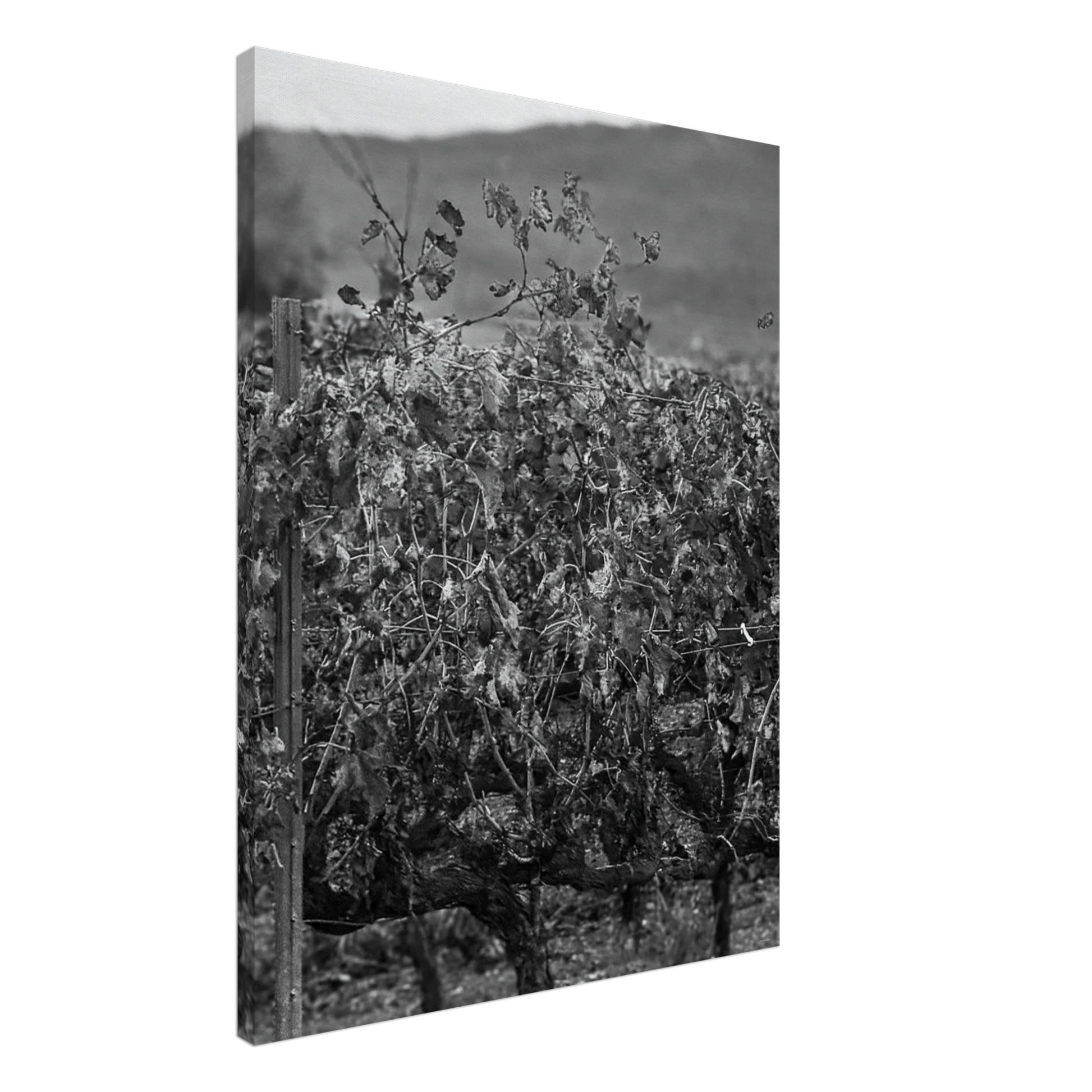 e151dcc4-c89f-47e3-9ffe-9f1c1a7c0fa3