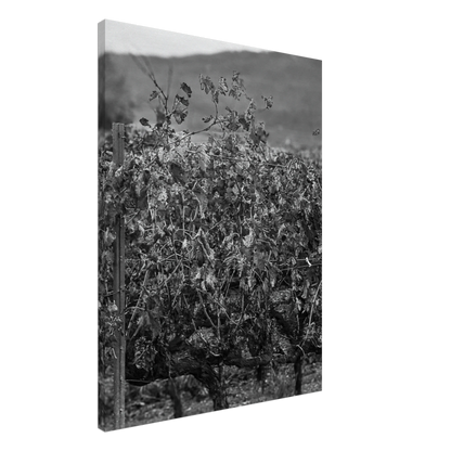 e151dcc4-c89f-47e3-9ffe-9f1c1a7c0fa3