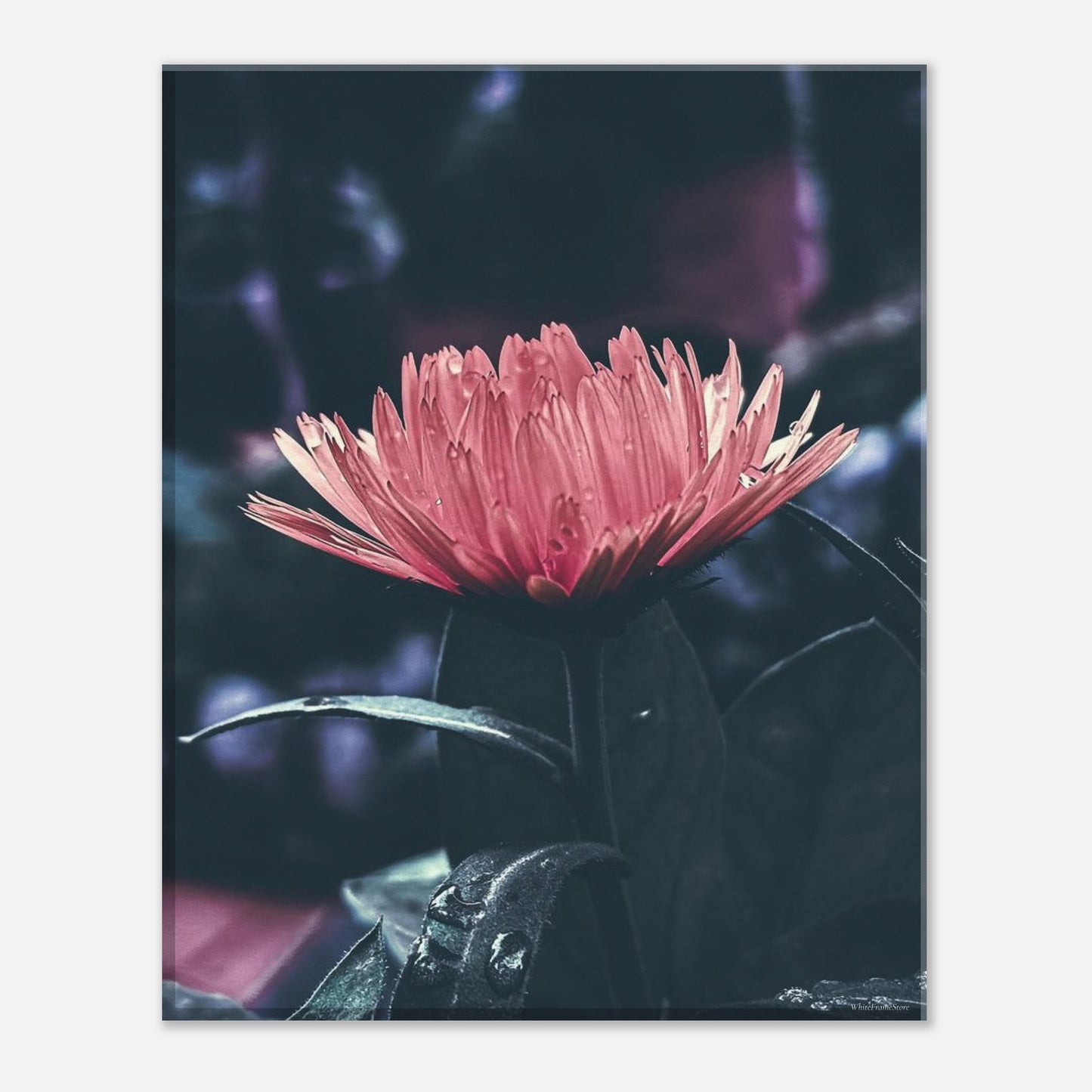 e202aff3-d841-422a-ae88-d09084d5129b