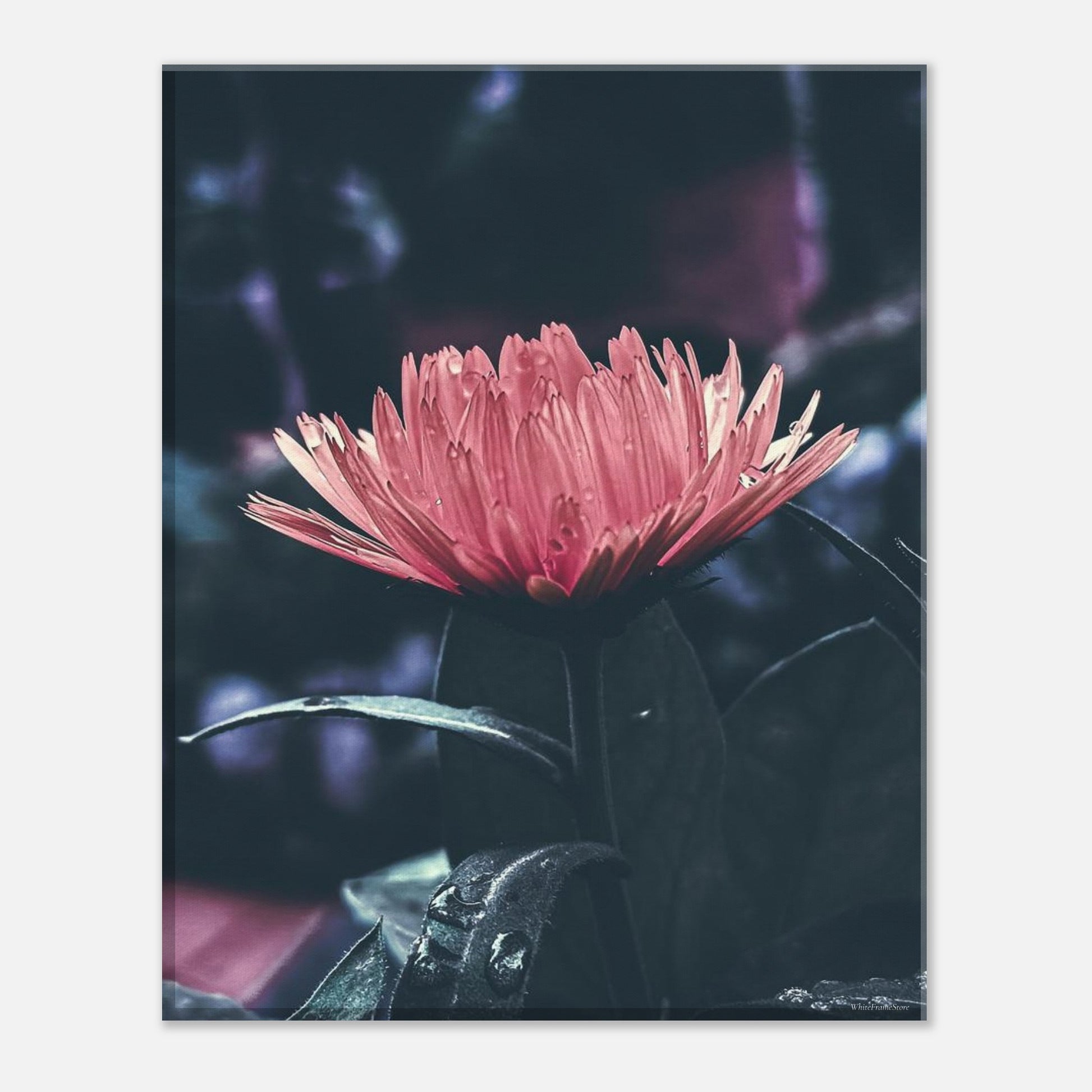 e202aff3-d841-422a-ae88-d09084d5129b