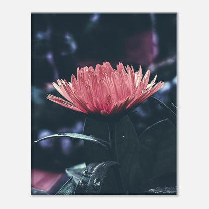 e202aff3-d841-422a-ae88-d09084d5129b